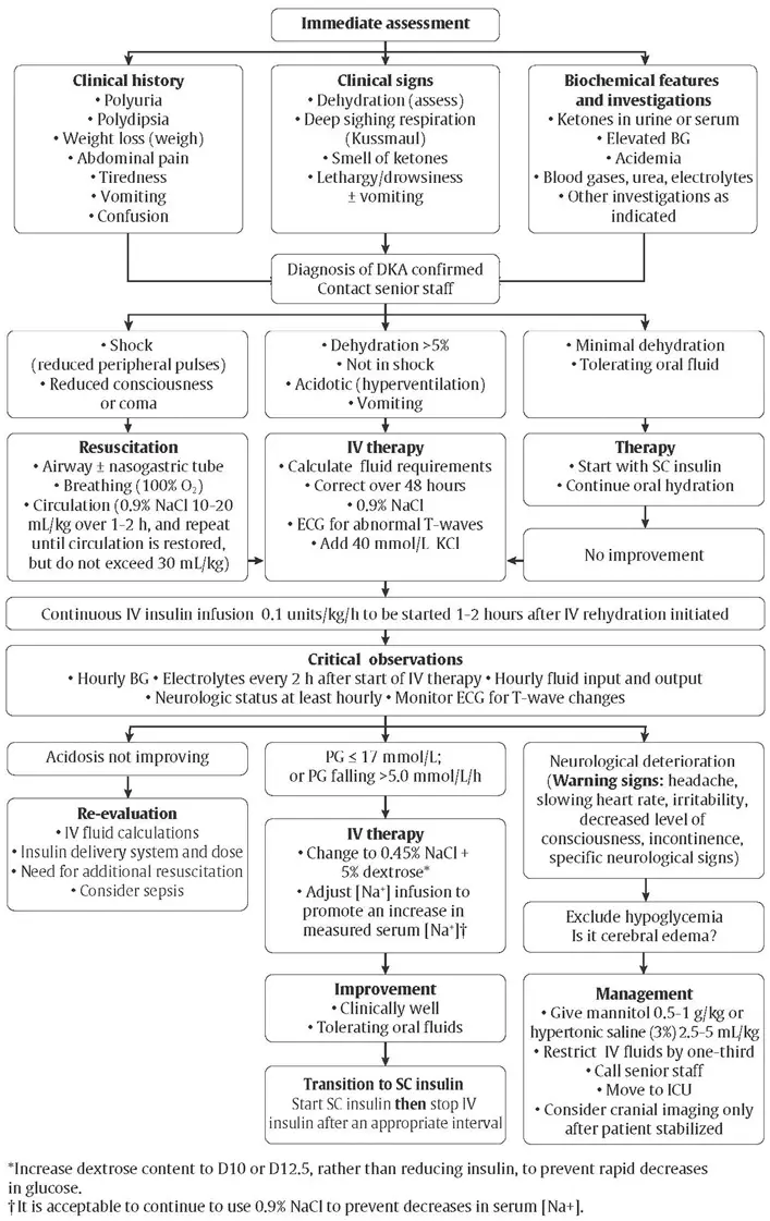 Ch34-Fig1-Immediate-assessment-and-management-of-DKA-in-children Ch34-Fig1-Immediate-assessment-and-management-of-DKA-in-children