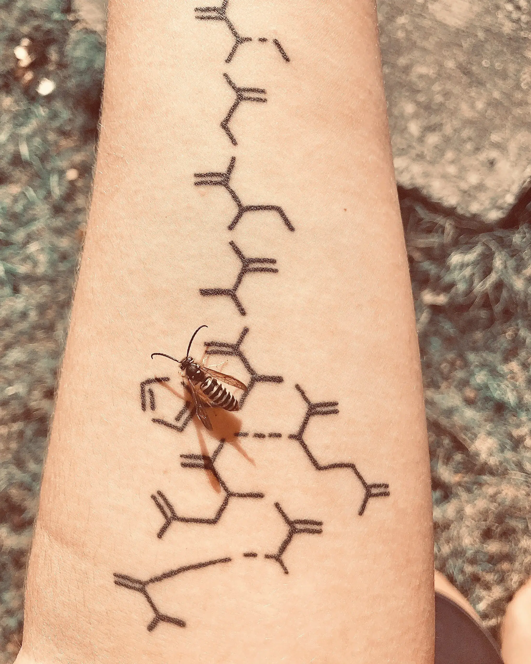 a insect on a tattoo on a person's arm