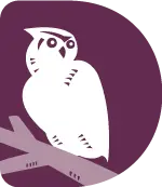 a white owl on a branch