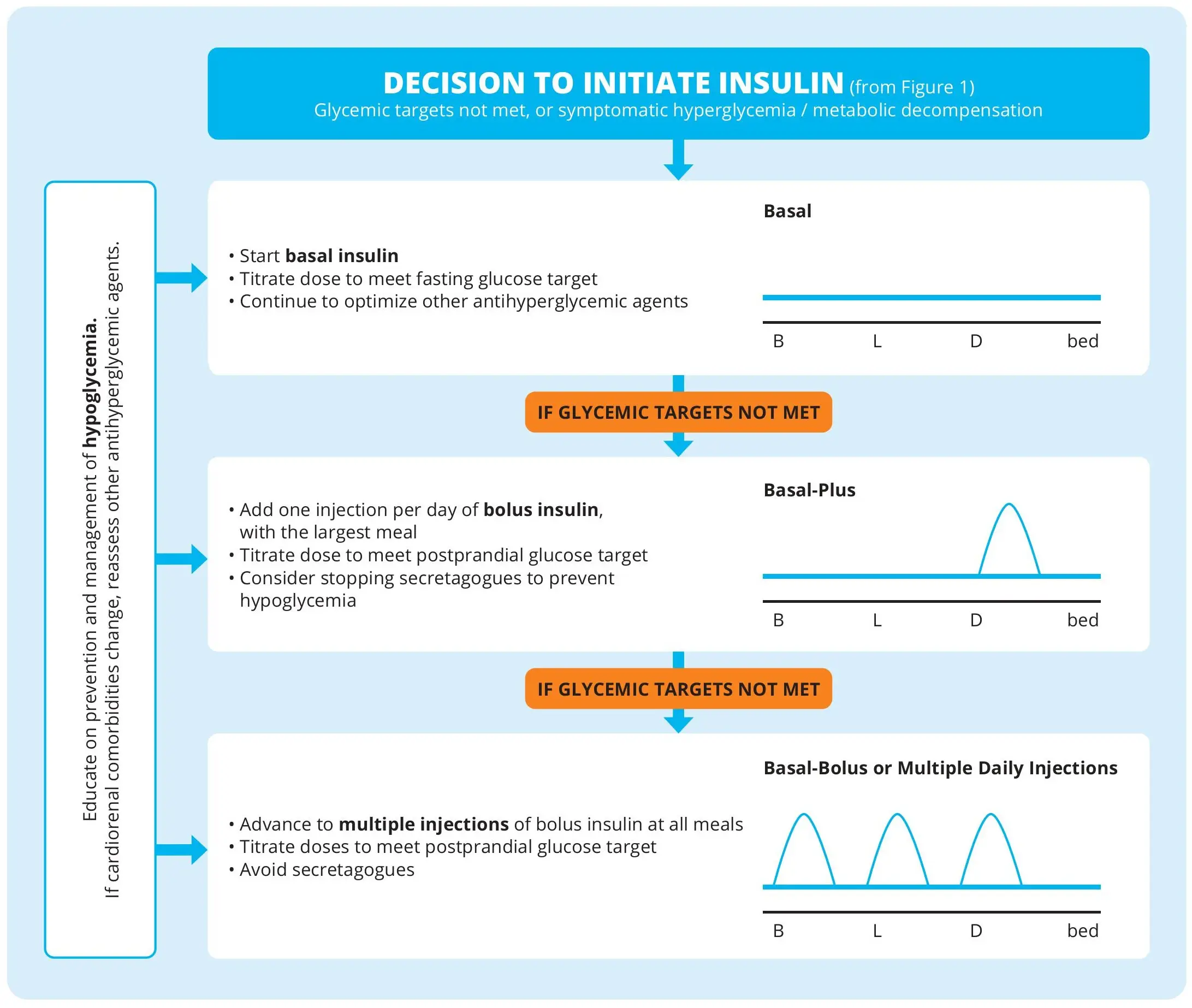 Ch13-2024-Fig2-Stepwise-approach-to-insulin-regimens-for-people-with-type-2-diabetes Ch13-2024-Fig2-Stepwise-approach-to-insulin-regimens-for-people-with-type-2-diabetes