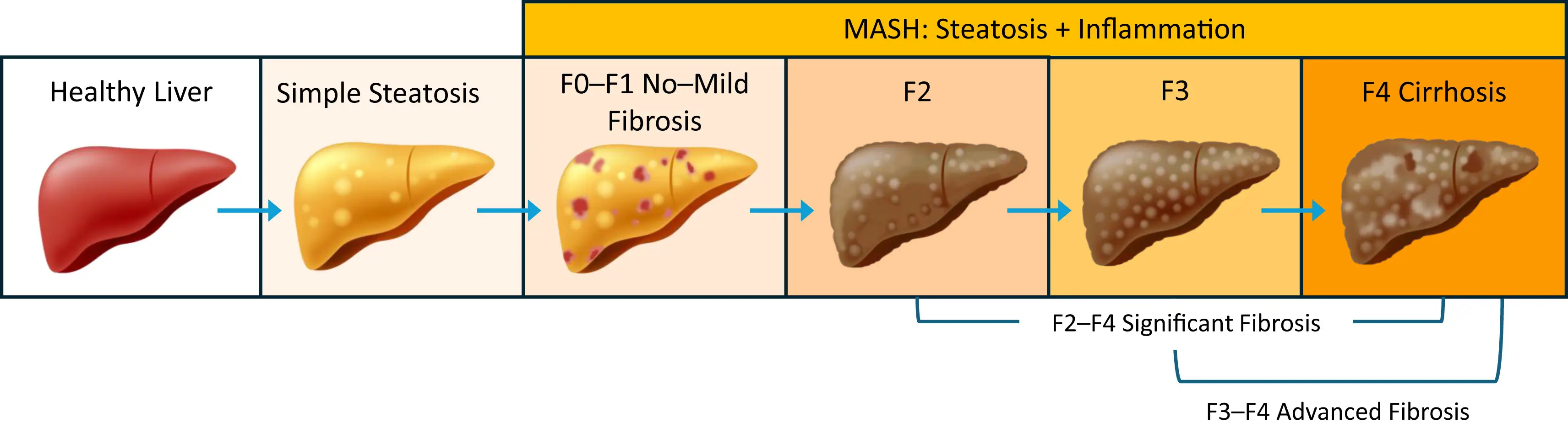 Ch42-Fig3 Ch42-Fig3