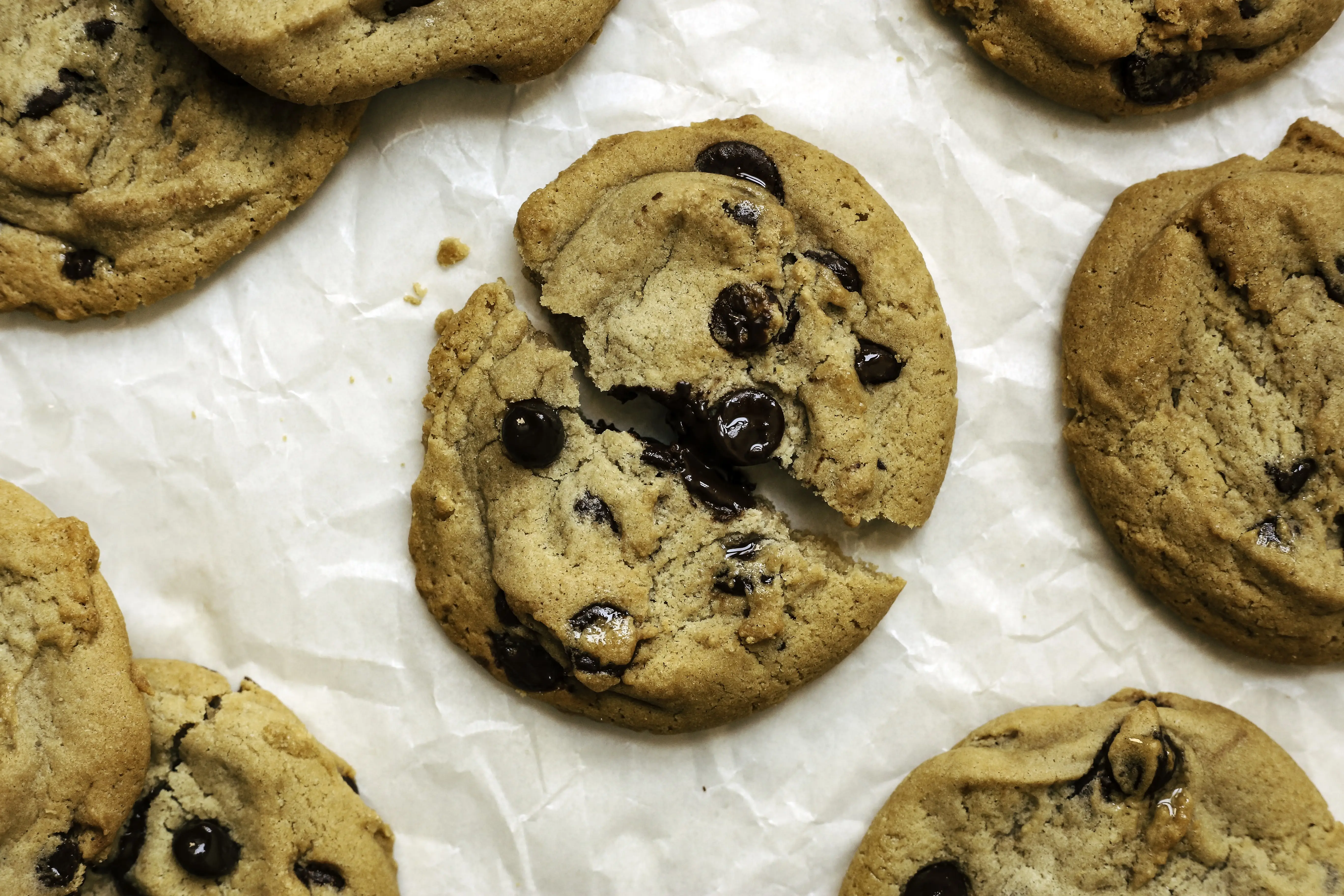 Chocolate chip olive oil cookies