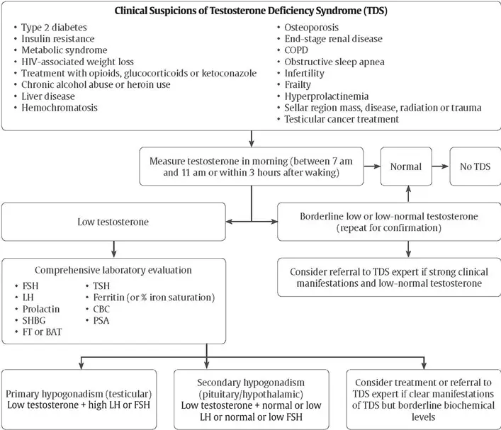 Ch33-Fig1-Diagnostic-workup-of-hypogonadism Ch33-Fig1-Diagnostic-workup-of-hypogonadism