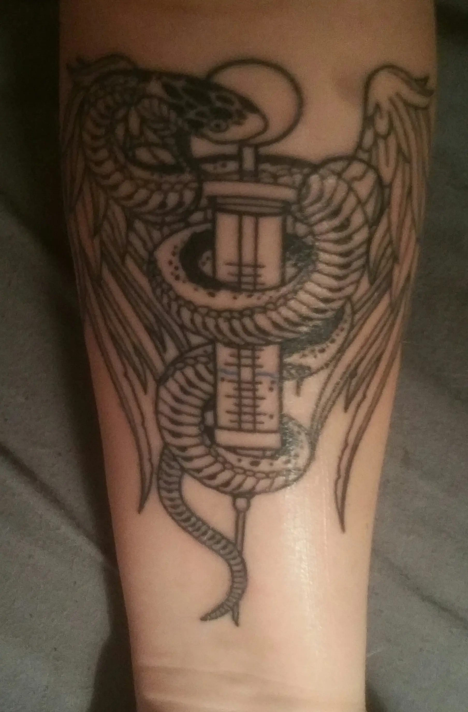 a tattoo on a person's arm