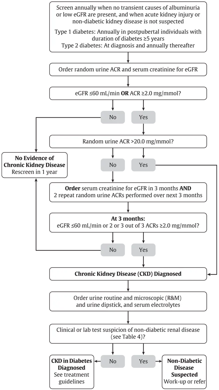 Ch29-Fig3-A-flowchart-for-screening-for-CKD-in-people-with-diabetes Ch29-Fig3-A-flowchart-for-screening-for-CKD-in-people-with-diabetes