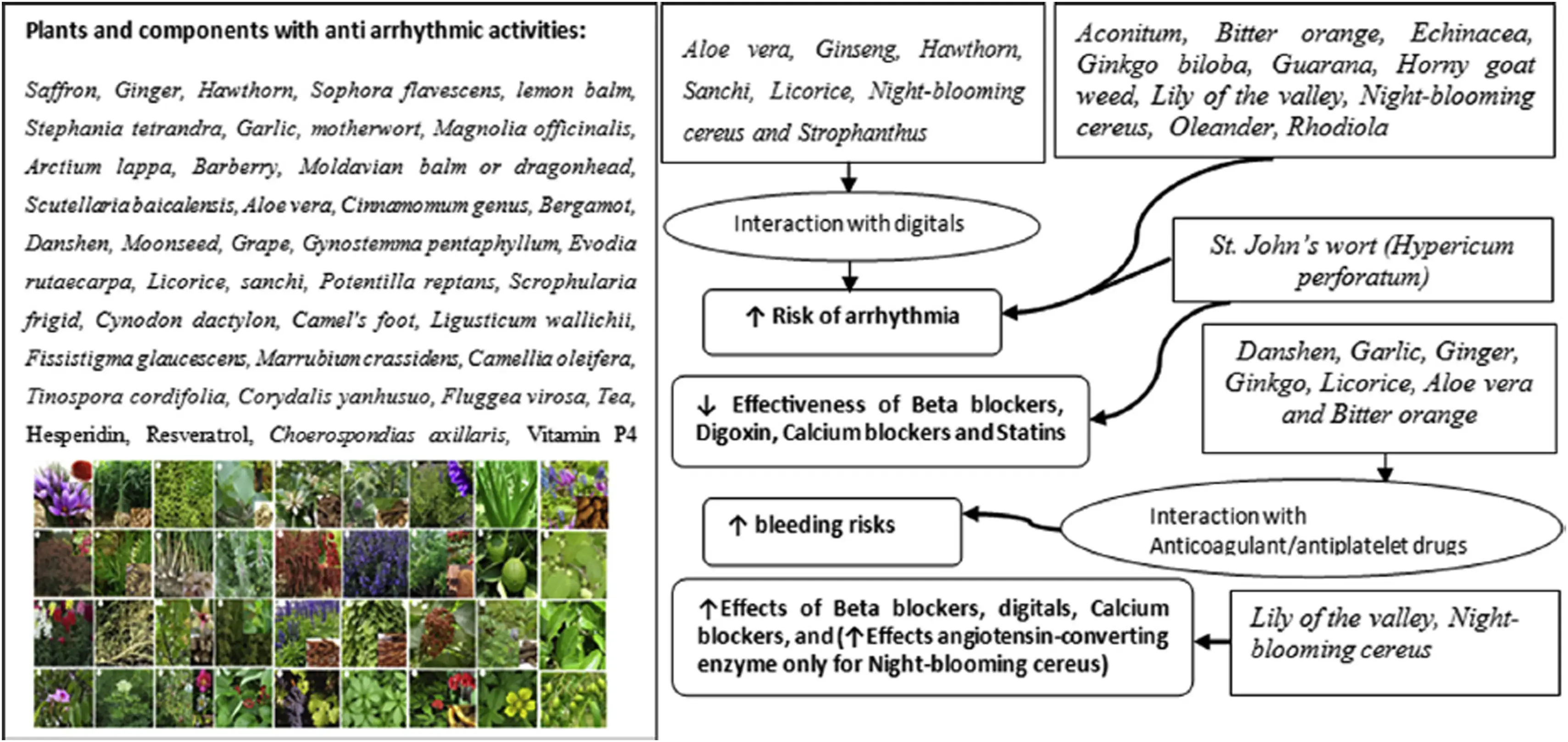 Ch29-2025-Supplementary-Fig2 Ch29-2025-Supplementary-Fig2