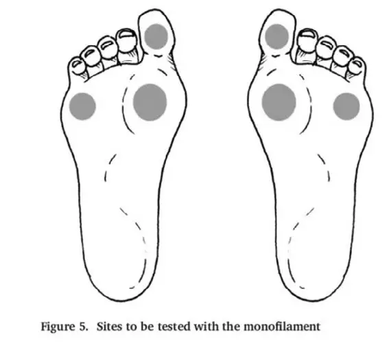 Appendix-12-Monofilament-Testing-Sites