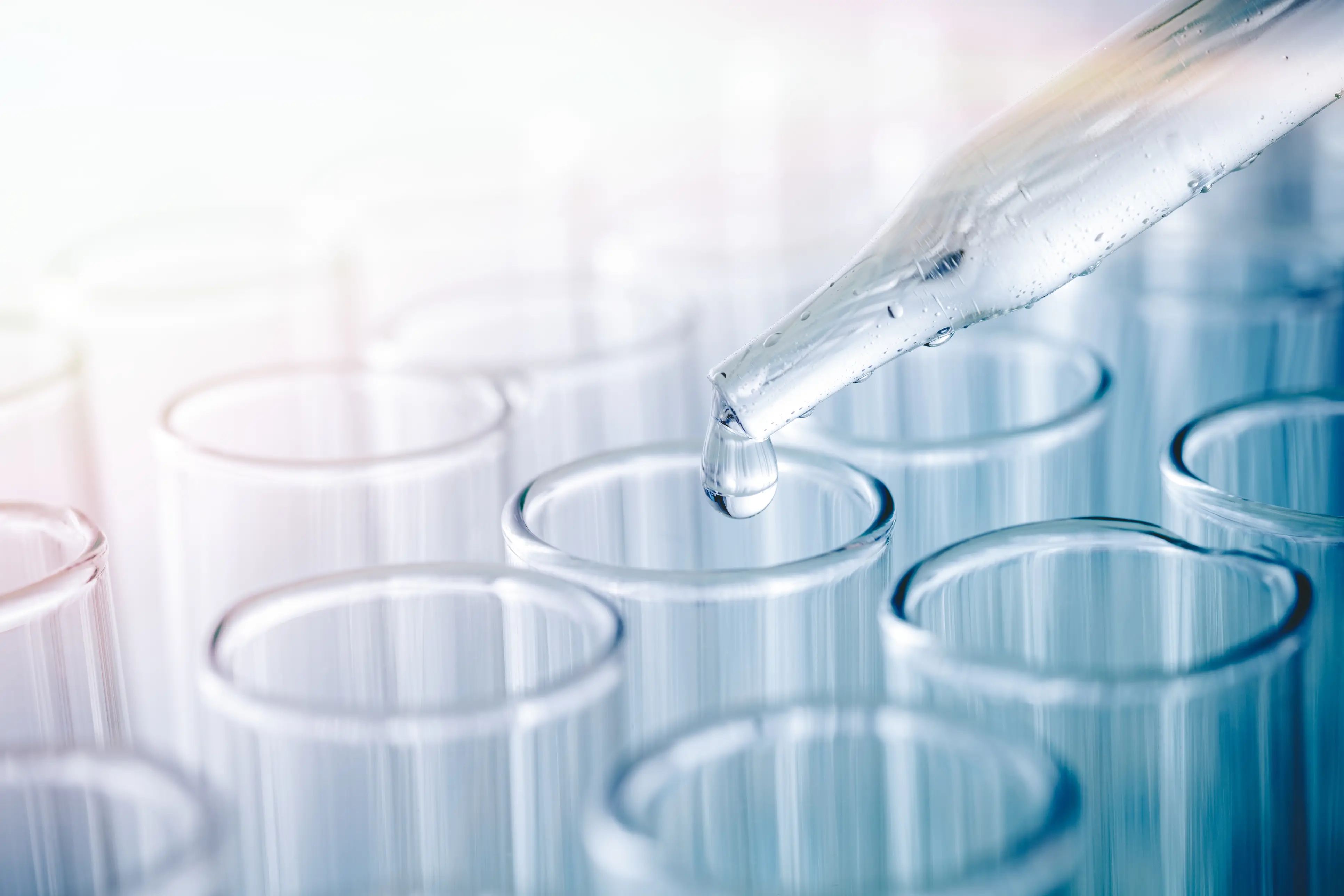 Diabetes Canada Awards Nearly $6 Million in Funding to New Research Projects