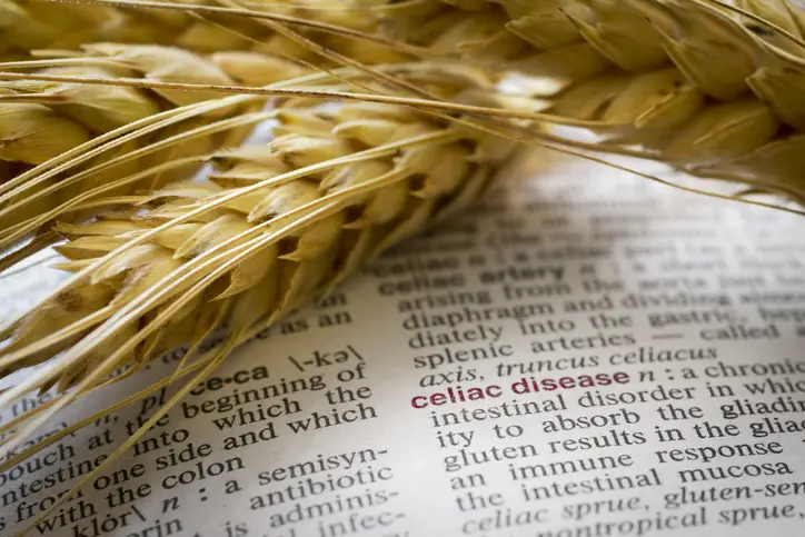 a close-up of wheat on a book