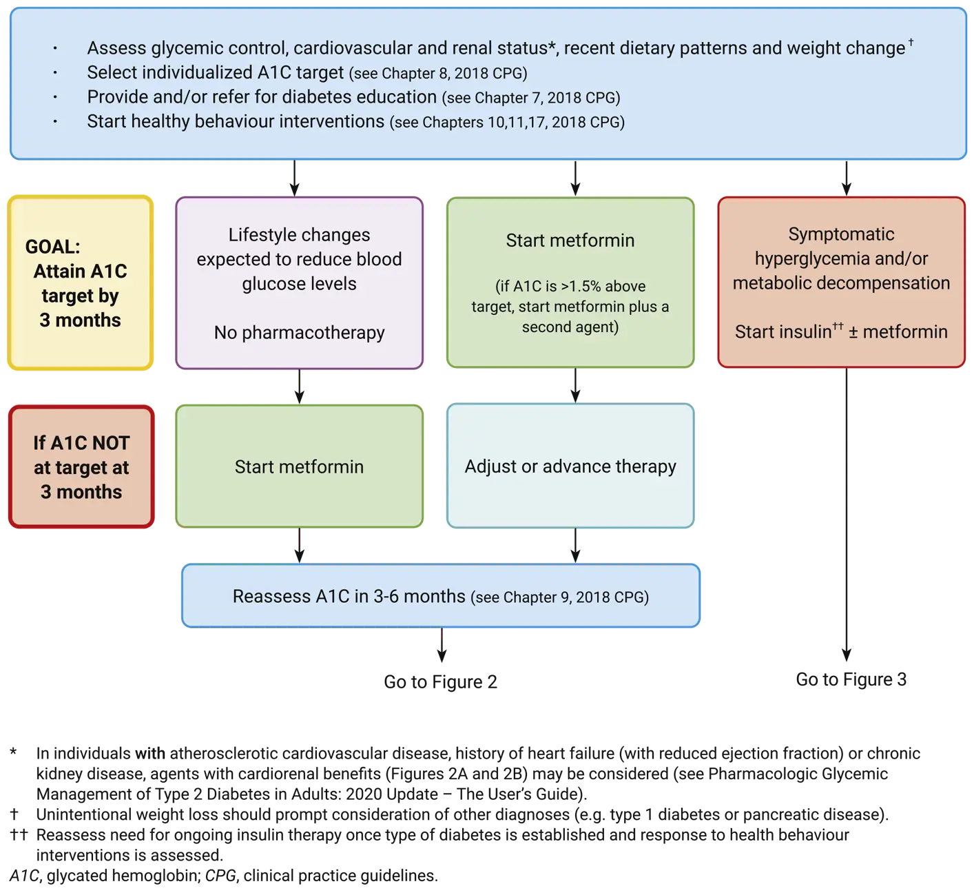 Ch13-2020-Fig1-At-diagnosis-of-type-2-diabetes Ch13-2020-Fig1-At-diagnosis-of-type-2-diabetes