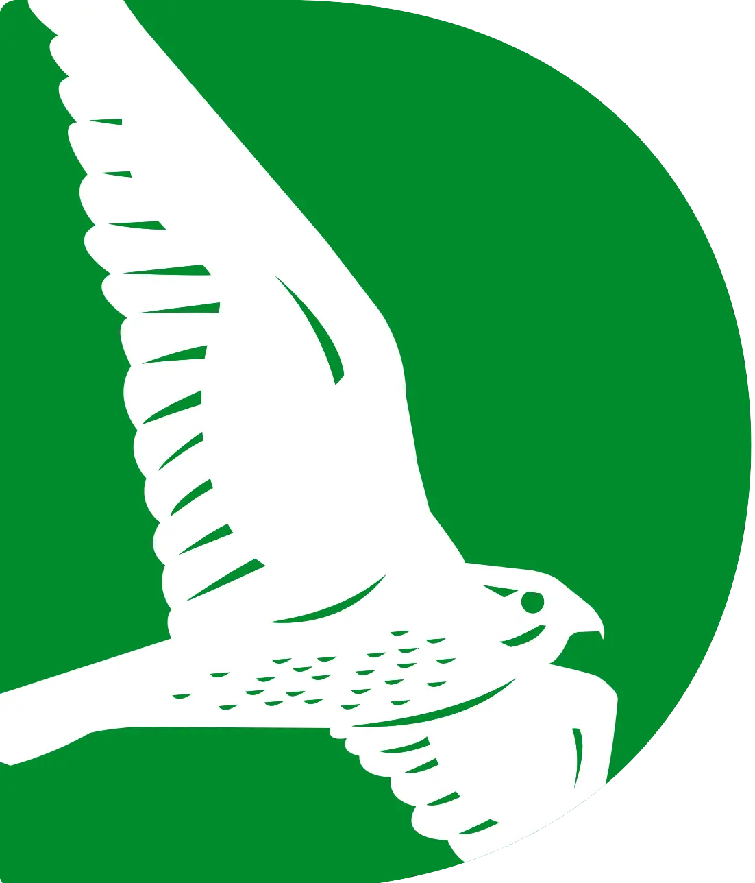 a white bird flying in the sky