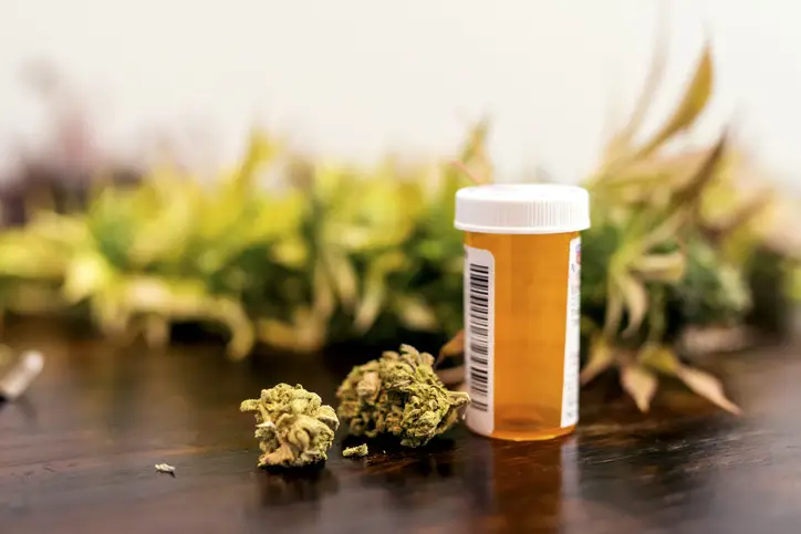 a bottle of marijuana next to a plant