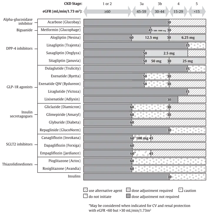 Ch13-Fig2-antihyperglycemic-medications-and-renal-function Ch13-Fig2-antihyperglycemic-medications-and-renal-function