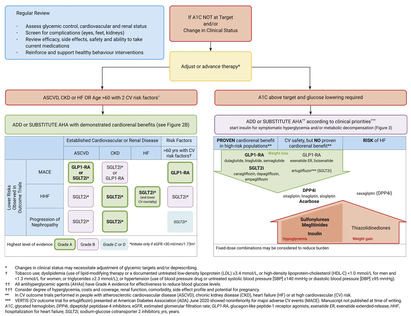 Ch13-2020-Fig2A-Reviewing-adjusting-or-advancing-therapy-in-type-2-diabetes Ch13-2020-Fig2A-Reviewing-adjusting-or-advancing-therapy-in-type-2-diabetes